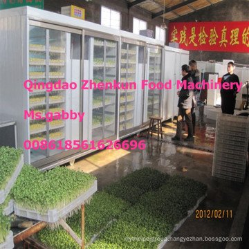 Automatic Mung Bean Sprout Machine